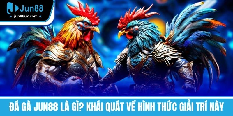 Đá Gà Jun88 - Trải Nghiệm Cá Cược Hấp Dẫn Và Thú Vị Nhất 1 Đá Gà Jun88 là gì? Khái quát về hình thức giải trí này