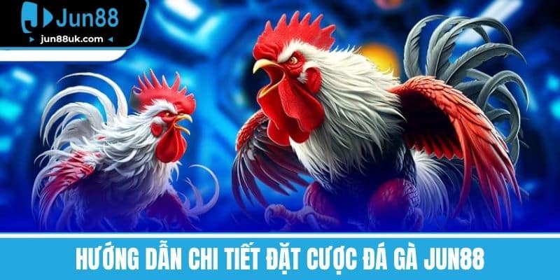 Đá Gà Jun88 - Trải Nghiệm Cá Cược Hấp Dẫn Và Thú Vị Nhất 3 Hướng dẫn chi tiết đặt cược Đá Gà Jun88
